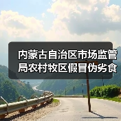 内蒙古自治区市场监管局农村牧区假冒伪劣食品专项整治行动成果初显（图2）