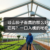 岐山臊子面真的那么好吃吗？一口入魂的秘密在这里！（图4）