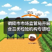 铜陵市市场监管局开展食品类检验机构专项检查（图3）