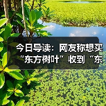 今日导读：网友称想买“东方树叶”收到“东方爽茶”；男子网购牛奶整箱鼓包变质成豆腐渣；香港食安中心暂时将哈瑞宝软糖下架（2025年06月03日）（图2）