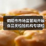 铜陵市市场监管局开展食品类检验机构专项检查（图2）