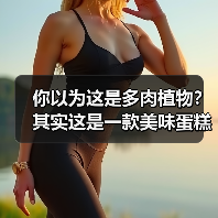 你以为这是多肉植物？其实这是一款美味蛋糕（图3）