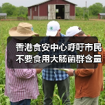 香港食安中心呼吁市民不要食用大肠菌群含量超出法例上限的雪糕
