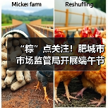 “粽”点关注！肥城市市场监管局开展端午节令食品安全专项检查（图4）
