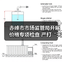 赤峰市市场监管局开展价格专项检查 严打“天价粽子” 保障节日市场秩序稳定（图4）