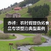 赤峰：农村假冒伪劣食品专项整治典型案例（第一批）（图2）