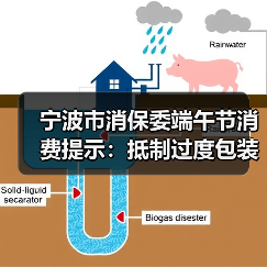 宁波市消保委端午节消费提示：抵制过度包装，倡导绿色消费（图4）