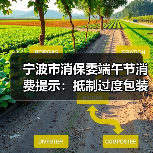 宁波市消保委端午节消费提示：抵制过度包装，倡导绿色消费