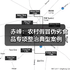 赤峰：农村假冒伪劣食品专项整治典型案例（第一批）（图4）