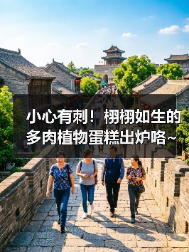 小心有刺！栩栩如生的多肉植物蛋糕出炉咯~