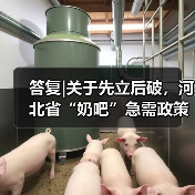 答复|关于先立后破，河北省“奶吧”急需政策支持的提案（图4）