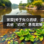 答复|关于先立后破，河北省“奶吧”急需政策支持的提案（图1）