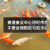 香港食安中心呼吁市民不要食用数款可能含矿物油的预先包装糖果(图1) 香港食安中心呼吁市民不要食用数款可能含矿物油的预先包装糖果(图1)