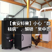 【食安科普】小心“荔枝病”，解锁“果中贵妃”的正确打开方式
