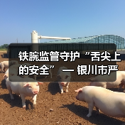 铁腕监管守护“舌尖上的安全” — 银川市严厉打击制售假劣肉制品专项整治行动进行中（图3）