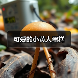 可爱的小黄人蛋糕（图4）