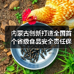 内蒙古创新打造全国首个省级食品安全责任保险信息化综合服务平台（图2）