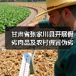 甘肃省张家川县开展假劣肉品及农村假冒伪劣食品专项检查(图3) 甘肃省张家川县开展假劣肉品及农村假冒伪劣食品专项检查(图3)
