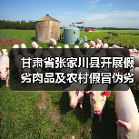 甘肃省张家川县开展假劣肉品及农村假冒伪劣食品专项检查
