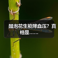 醋泡花生能降血压？真相是……（图4）
