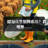 醋泡花生能降血压？真相是……（图3）