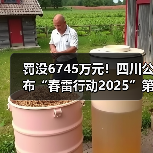 罚没6745万元!四川公布“春雷行动2025”第二批典型案例(图4) 罚没6745万元!四川公布“春雷行动2025”第二批典型案例(图4)