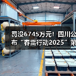 罚没6745万元！四川公布“春雷行动2025”第二批典型案例