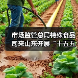 市场监管总局特殊食品司来山东开展“十五五”特殊食品监管规划调研(图3) 市场监管总局特殊食品司来山东开展“十五五”特殊食品监管规划调研(图3)