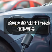 哈根达斯特制小村庄冰淇淋蛋糕（图1）