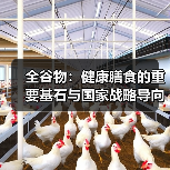 全谷物：健康膳食的重要基石与国家战略导向（图4）