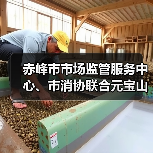 赤峰市市场监管服务中心、市消协联合元宝山区市场监管局开展食品安全普法进农村活动
