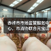 赤峰市市场监管服务中心、市消协联合元宝山区市场监管局开展食品安全普法进农村活动(图4) 赤峰市市场监管服务中心、市消协联合元宝山区市场监管局开展食品安全普法进农村活动(图4)