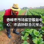 赤峰市市场监管服务中心、市消协联合元宝山区市场监管局开展食品安全普法进农村活动(图2) 赤峰市市场监管服务中心、市消协联合元宝山区市场监管局开展食品安全普法进农村活动(图2)
