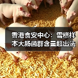 香港食安中心:雪糕样本大肠菌群含量超出法例上限(图4) 香港食安中心:雪糕样本大肠菌群含量超出法例上限(图4)