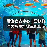 香港食安中心:雪糕样本大肠菌群含量超出法例上限(图2) 香港食安中心:雪糕样本大肠菌群含量超出法例上限(图2)