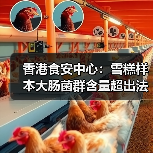 香港食安中心：雪糕样本大肠菌群含量超出法例上限