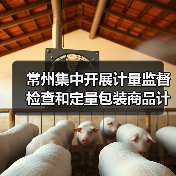常州集中开展计量监督检查和定量包装商品计量抽检（图1）