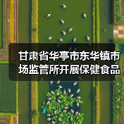 甘肃省华亭市东华镇市场监管所开展保健食品安全专项检查（图4）