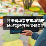 甘肃省华亭市东华镇市场监管所开展保健食品安全专项检查（图1）