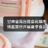 甘肃省高台县宣化镇市场监管所开展夏季食品安全专项检查