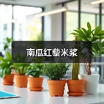 南瓜红藜米浆
