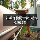 江苏海警局查获1起走私冻品案