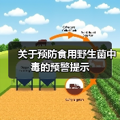 关于预防食用野生菌中毒的预警提示（图2）