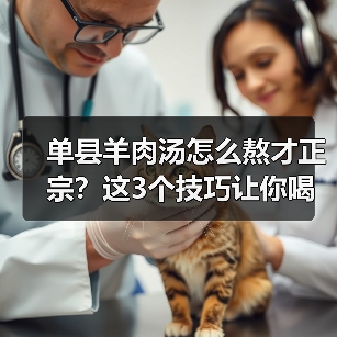 单县羊肉汤怎么熬才正宗?这3个技巧让你喝出老山东的味道!(图4) 单县羊肉汤怎么熬才正宗?这3个技巧让你喝出老山东的味道!(图4)