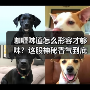 咖喱味道怎么形容才够味？这股神秘香气到底藏了多少秘密！（图3）