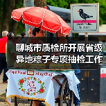 聊城市质检所开展省级异地粽子专项抽检工作筑牢食品安全防线（图3）