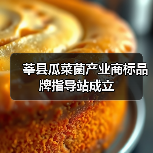 莘县瓜菜菌产业商标品牌指导站成立(图1) 莘县瓜菜菌产业商标品牌指导站成立(图1)