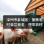 漳州市芗城区:聚焦农村食品安全,守牢农村食品“安全阀”(图1) 漳州市芗城区:聚焦农村食品安全,守牢农村食品“安全阀”(图1)