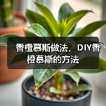 香橙慕斯做法,DIY香橙慕斯的方法(图3) 香橙慕斯做法,DIY香橙慕斯的方法(图3)
