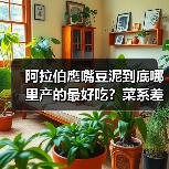 阿拉伯鹰嘴豆泥到底哪里产的最好吃?菜系差异大揭秘!✨(图4) 阿拉伯鹰嘴豆泥到底哪里产的最好吃?菜系差异大揭秘!✨(图4)